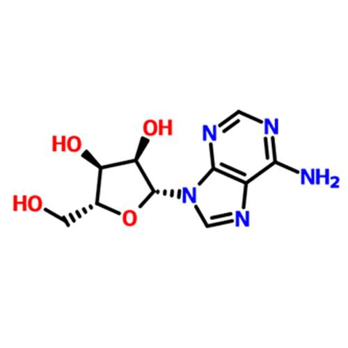 Hot Selling! ! Top Quality Adenosine/D-Adenosine/Ar with Good Price CAS 58-61-7
