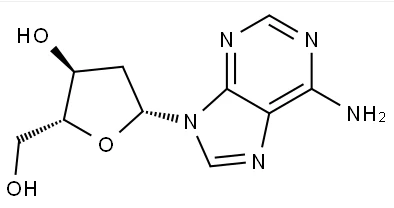 2'-Deoxyadenosine CAS NO.:958-09-8