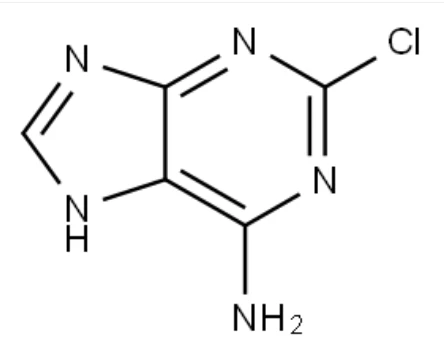 CAS NO.1839-18-5 2-Chloroadenine