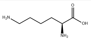 L-Lysine CAS NO.:56-87-1
