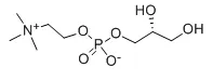 Choline Glycerophosphate CAS NO.:28319-77-9