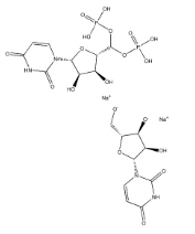 Uridine 5'-monophosphate CAS NO.:58-97-9